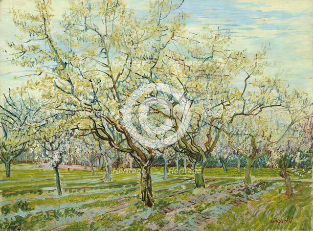The white orchard, 1888. Artist: Gogh, Vincent, van (1853-1890)