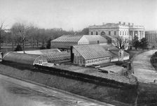 The White House and greenhouses, Washington DC, USA, 1908