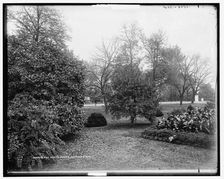 The White House, Washington, c1901. Creator: Unknown