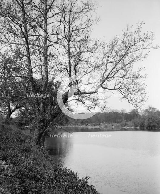 The White River, Riverside Park, Indianapolis, Ind., between 1900 and 1910. Creator: Unknown.