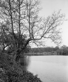 The White River, Riverside Park, Indianapolis, Ind., between 1900 and 1910. Creator: Unknown