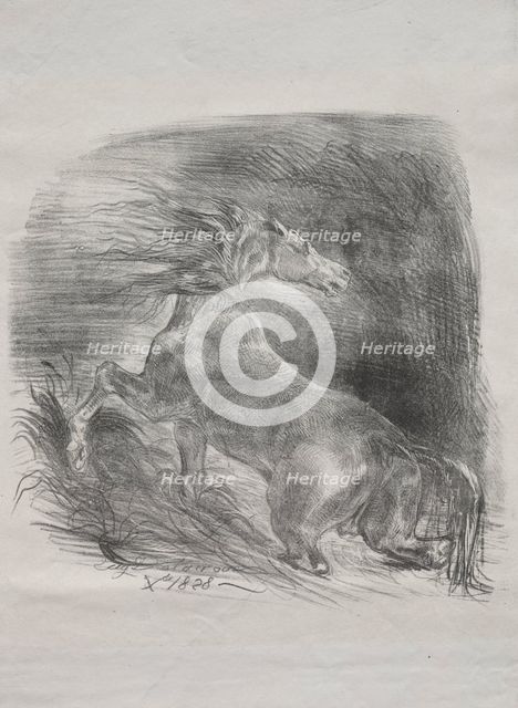 The Wild Horse, or Frightened Horse Leaving the Water, 1828. Creator: Eugène Delacroix (French, 1798-1863).