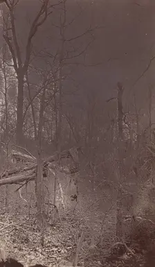 The Wilderness Battlefield, 1864. Creator: Unknown