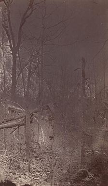 The Wilderness Battlefield, 1864. Creator: Unknown