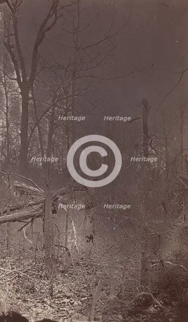The Wilderness Battlefield, 1864. Creator: Unknown.