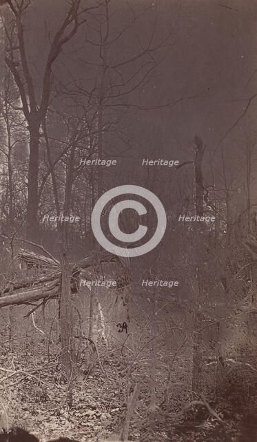 The Wilderness Battlefield, 1864. Creator: Unknown.