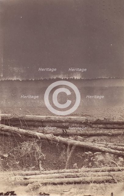 The Wilderness Battlefield, 1864. Creator: Unknown.