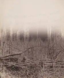 The Wilderness Battlefield, 1864. Creator: Unknown