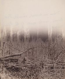 The Wilderness Battlefield, 1864. Creator: Unknown