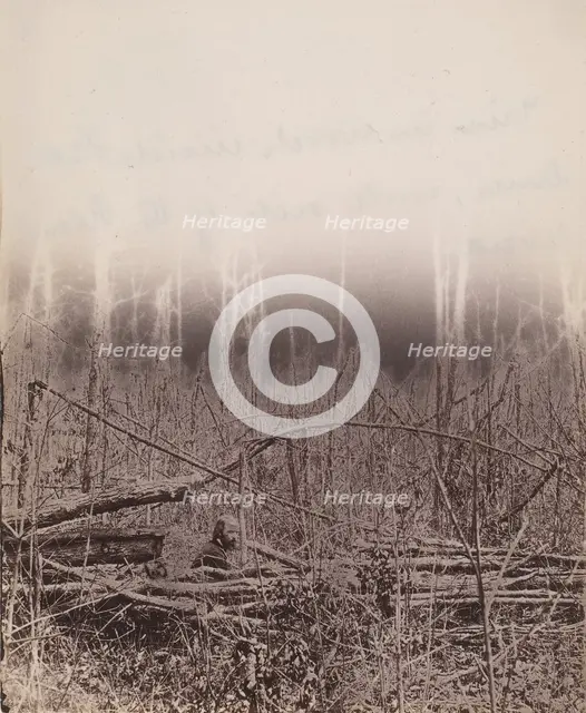 The Wilderness Battlefield, 1864. Creator: Unknown.