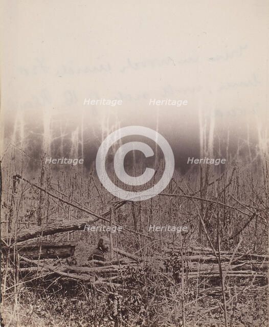 The Wilderness Battlefield, 1864. Creator: Unknown.