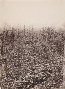 The Wilderness Battlefield, 1864. Creator: Unknown