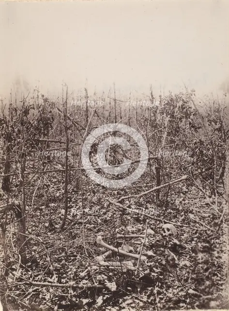 The Wilderness Battlefield, 1864. Creator: Unknown.