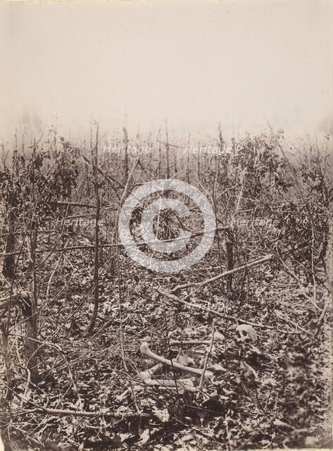 The Wilderness Battlefield, 1864. Creator: Unknown.