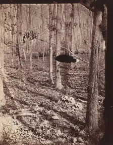 The Wilderness Battlefield, 1864. Creator: Unknown
