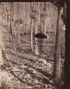 The Wilderness Battlefield, 1864. Creator: Unknown