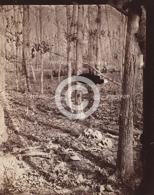 The Wilderness Battlefield, 1864. Creator: Unknown.