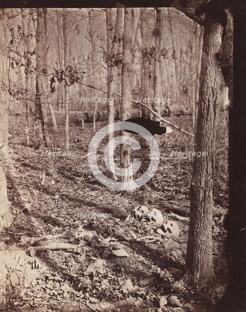 The Wilderness Battlefield, 1864. Creator: Unknown.