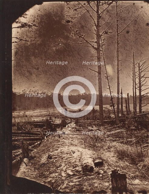 The Wilderness Battlefield, 1864. Creator: Unknown.