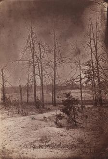 The Wilderness Battlefield, 1864. Creator: Unknown
