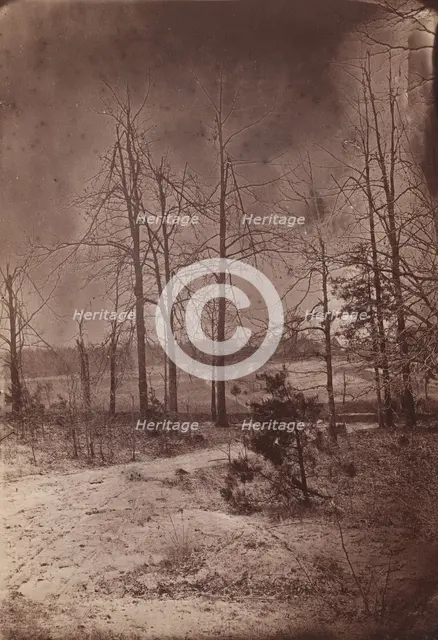 The Wilderness Battlefield, 1864. Creator: Unknown.