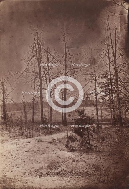 The Wilderness Battlefield, 1864. Creator: Unknown.