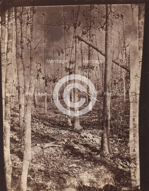 The Wilderness Battlefield, 1864. Creator: Unknown.