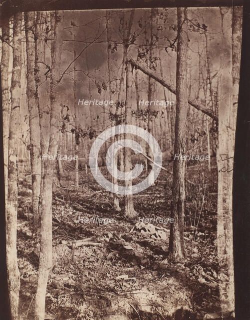 The Wilderness Battlefield, 1864. Creator: Unknown.