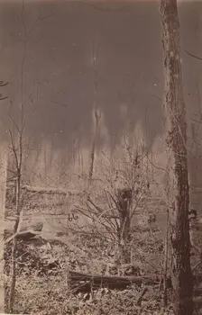 The Wilderness Battlefield, 1864. Creator: Unknown