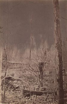 The Wilderness Battlefield, 1864. Creator: Unknown