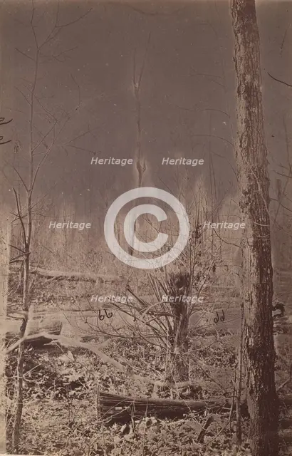 The Wilderness Battlefield, 1864. Creator: Unknown.
