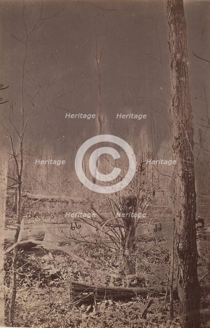The Wilderness Battlefield, 1864. Creator: Unknown.