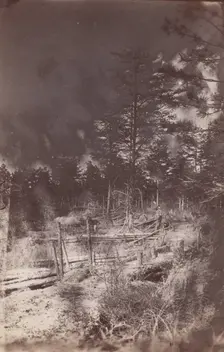 The Wilderness Battlefield, 1864. Creator: Unknown