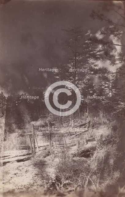 The Wilderness Battlefield, 1864. Creator: Unknown.