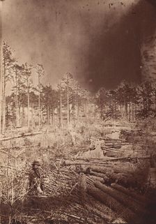 The Wilderness Battlefield, 1864. Creator: Unknown