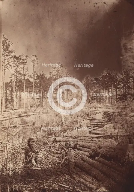 The Wilderness Battlefield, 1864. Creator: Unknown.
