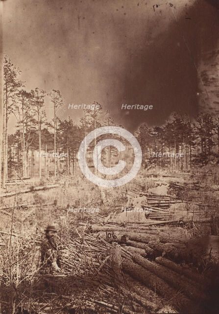 The Wilderness Battlefield, 1864. Creator: Unknown.