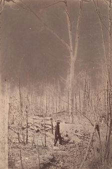 The Wilderness Battlefield, 1864. Creator: Unknown