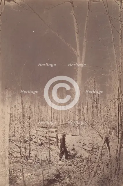 The Wilderness Battlefield, 1864. Creator: Unknown.