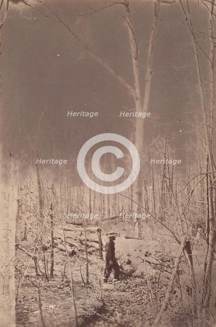 The Wilderness Battlefield, 1864. Creator: Unknown.