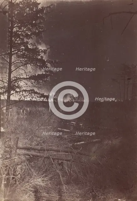 The Wilderness Battlefield, 1864. Creator: Unknown.