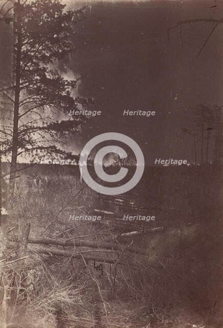 The Wilderness Battlefield, 1864. Creator: Unknown.