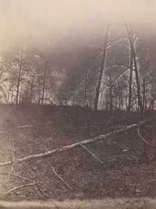 The Wilderness Battlefield, 1864. Creator: Unknown