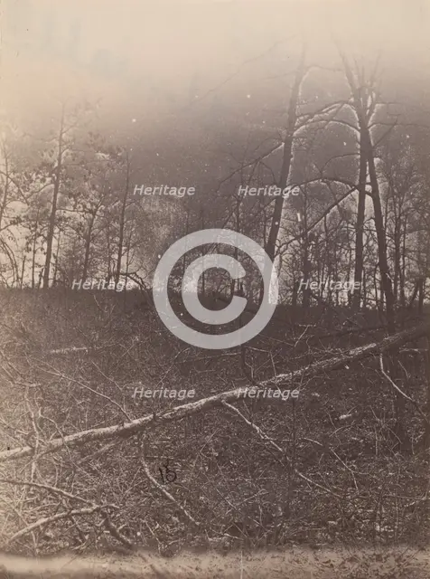 The Wilderness Battlefield, 1864. Creator: Unknown.