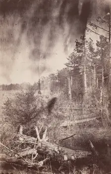 The Wilderness Battlefield, 1864. Creator: Unknown