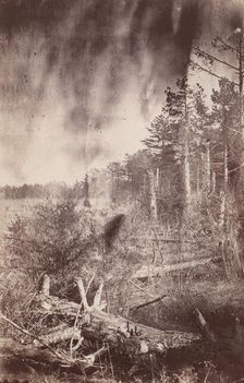 The Wilderness Battlefield, 1864. Creator: Unknown