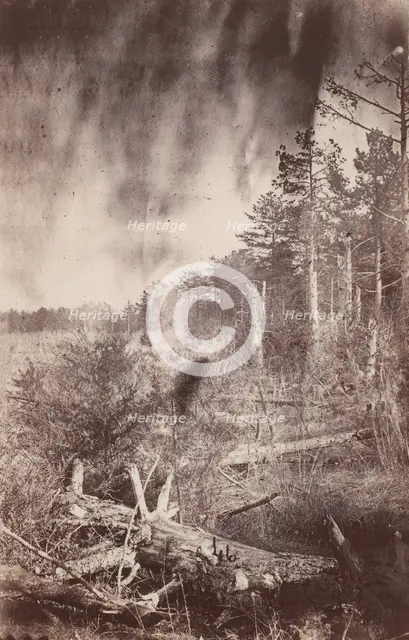 The Wilderness Battlefield, 1864. Creator: Unknown.