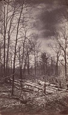 The Wilderness Battlefield, 1864. Creator: Unknown