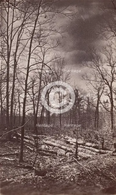 The Wilderness Battlefield, 1864. Creator: Unknown.