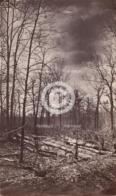 The Wilderness Battlefield, 1864. Creator: Unknown.